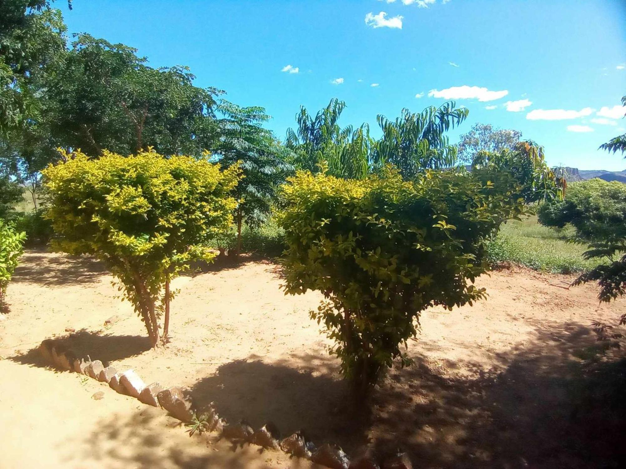 Ecolodge D'Isalo Ranohira Εξωτερικό φωτογραφία